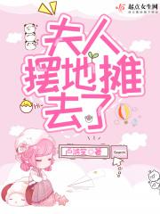 夫人又去摆地摊