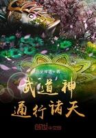 无限动漫武道通神第八区