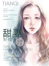 试婚总裁强势宠