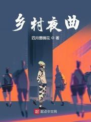 乡村小夜曲的下一部叫啥