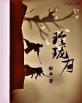 玲珑月色的意思是什么