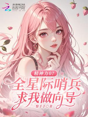哨兵向导星际文