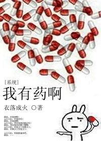 我有药啊系统简介