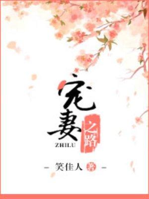宠妻之路全文