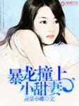 暴龙撞上小甜妻东方烨的结局是什么