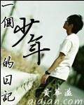 一个少年的笔记读后感100字