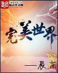 完美世界237