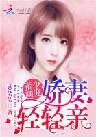 祁少老婆拆家了祁夜叶微澜