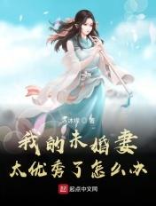 我的未婚妻们