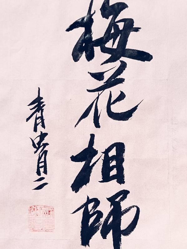 梅花相位是负相位还是正相位