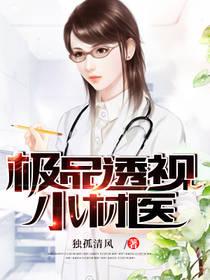 极品透视小村医叶天