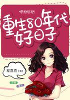 重生80年代美好的生活