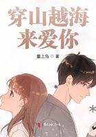 我穿山越海遇见你歌词