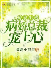 病娇总裁的