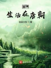 我在唐朝定居