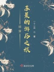 十二门徒都是做什么工作的
