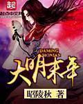 我的老婆们林婉清最后和谁在一起了
