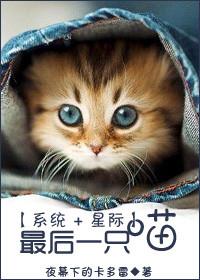 蜂子图片大全