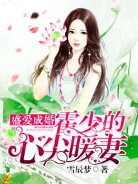 闪婚顾少甜妻