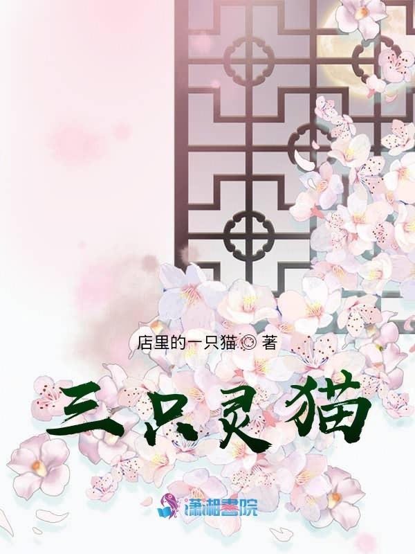 海棠微雨控规图