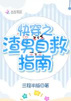 夏风沐瑾年全文免费